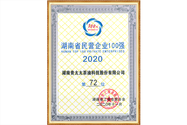 湖南省民營企業(yè)100強